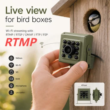 Kit Telecamera WiFi per Nidi di Uccelli Verde, Audio Live RTMP, 4K 8MP, Visione Notturna IR CUT, RTSP FTP, Mini IP IPC per Osservazione di Animali Domestici e Uccelli, CCTV