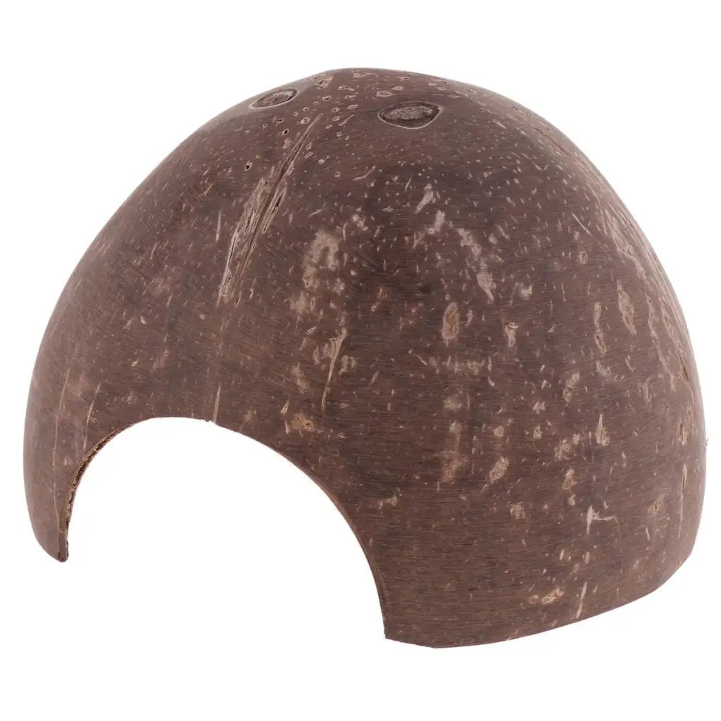 Natural Hut-Non-, Coconut Reptile Hideouts, , Aquarium Fish