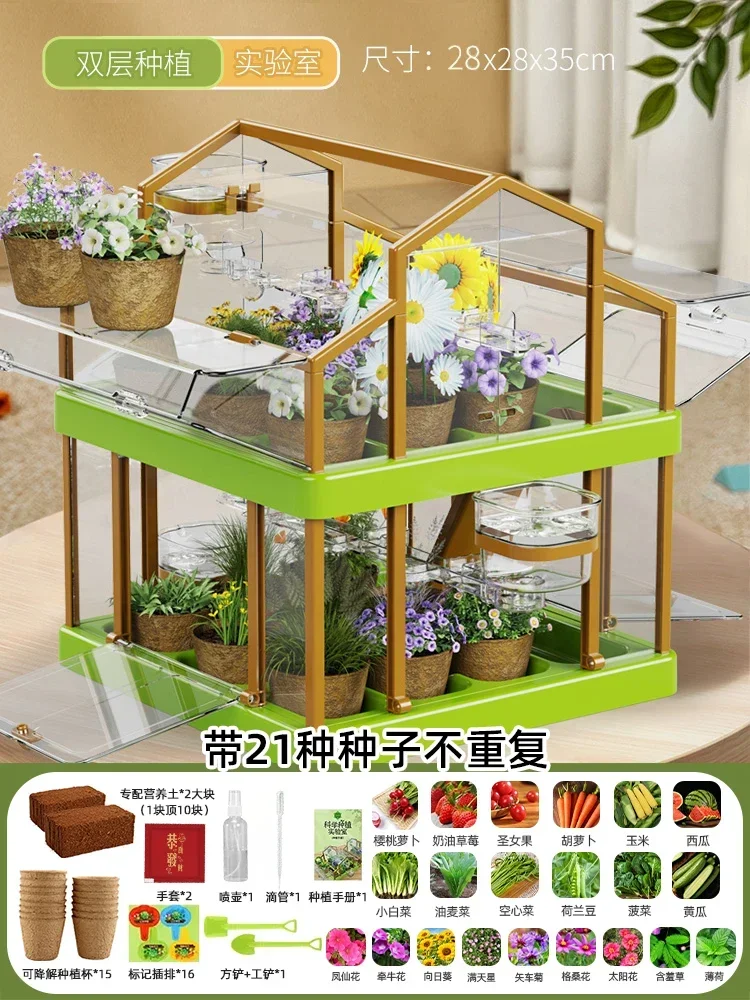 منزل زراعة أشعة الشمس للأطفال تجربة علمية صندوق مر...