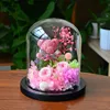 25*30cm Transparent Glass Dome Vase Home Deocration Diameter=25cm Height=30cm Different Base Cover DIY Gift Promotional Goods 3