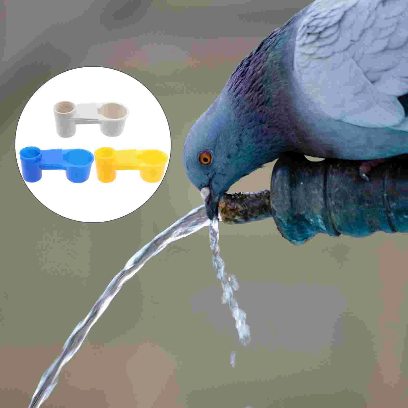 

15 Pcs Drinking Glasses Homing Pigeon Water Guide Feeding Bowl Parrot Birds Cup Feeder Dispenser