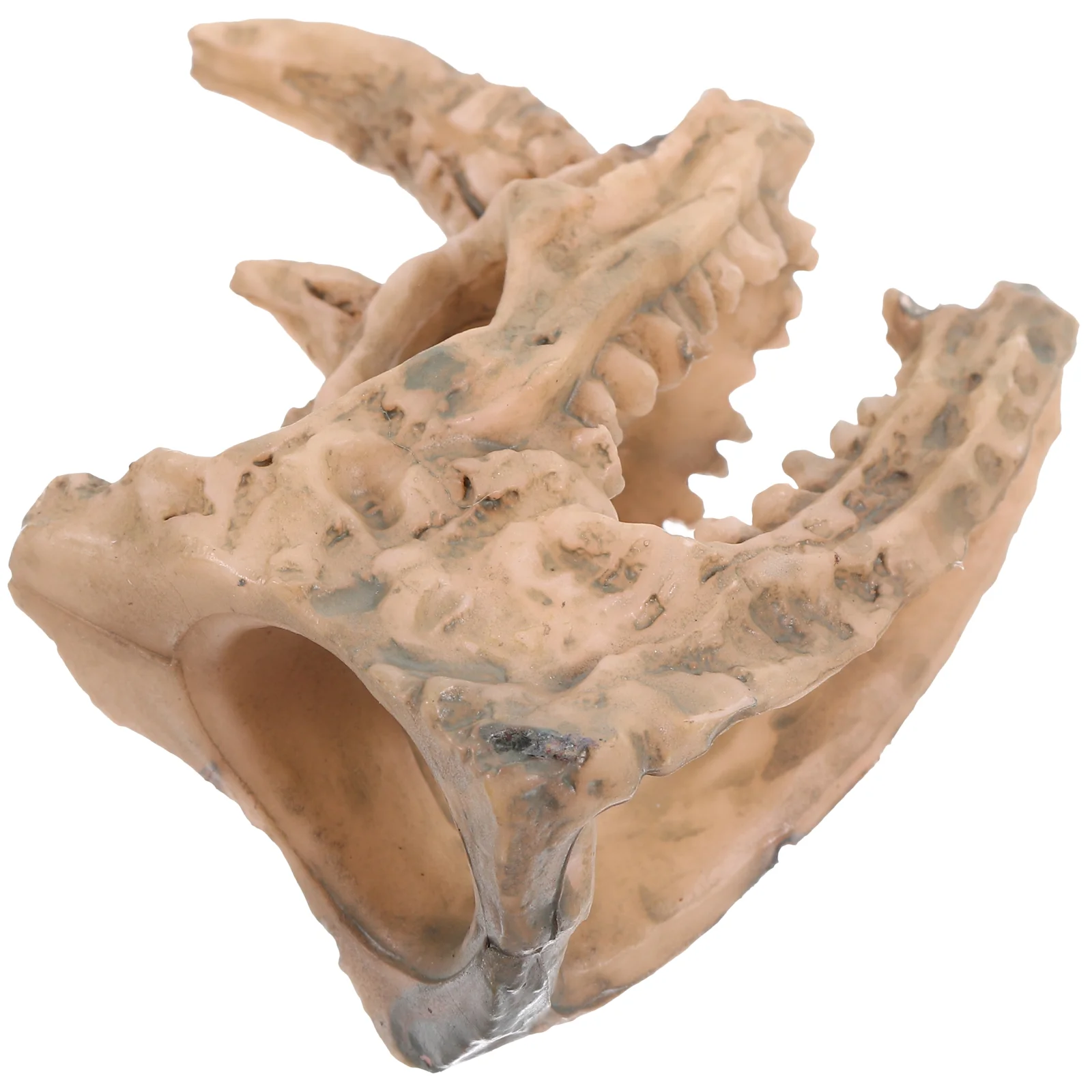 

House Wall Spooky Animal Skull Model House Layout Prop Vintage Simulated Animal Skull Model