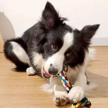 Braided Tug Rope Toy 4