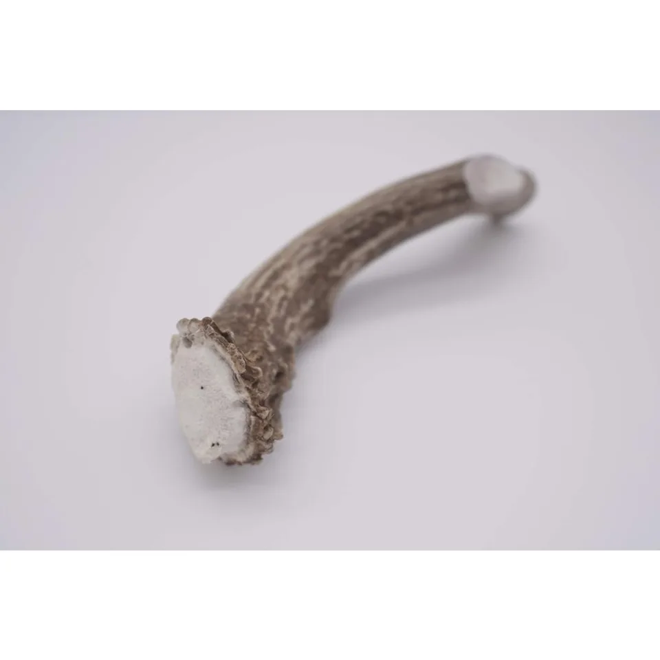 Premium Organic Whole Deer Antler Dog Chew