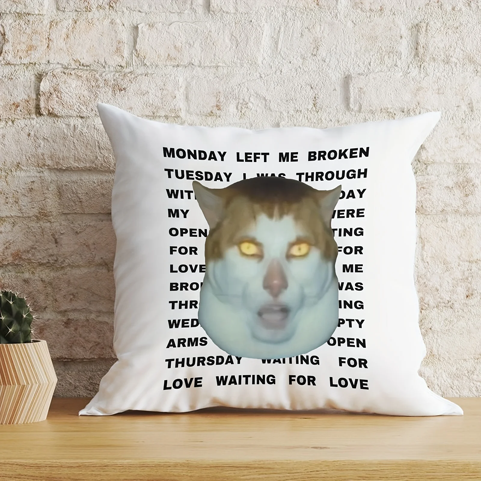 1pc Meme Monday Left Me Broken Cat Pattern Cushion Cover