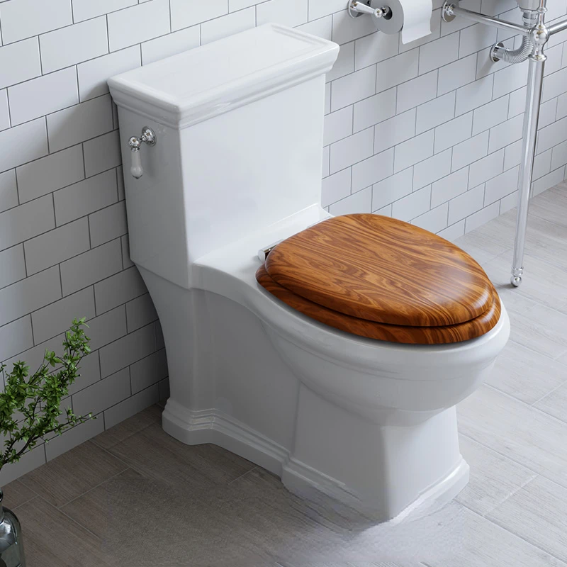 Export French vintage toilet home hotel European style personalized toilet toilet silent solid wood cover