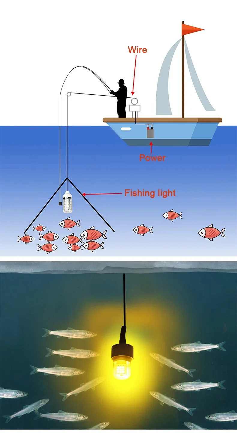 Description Picture 3 of itemLED Fishing Light Underwater Fish Lamp AC/DC12V Ip68 Bait Spotter Lights Attractive Lure To Gather Prawns Squid Krill Multicolor