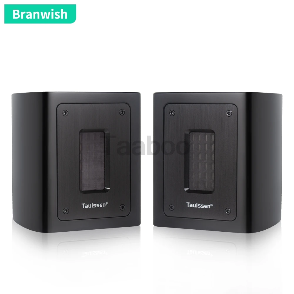 5Ohm Fever Independent Ribbon Super Tweeter External Tweeter Passive Speaker Sound Box 30W Extension