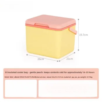 Mini Cooler Box Portable Insulated Storage Small Refrigerator for Work Outdoor Fresh Keeping Travel Compact Cooling Container 1