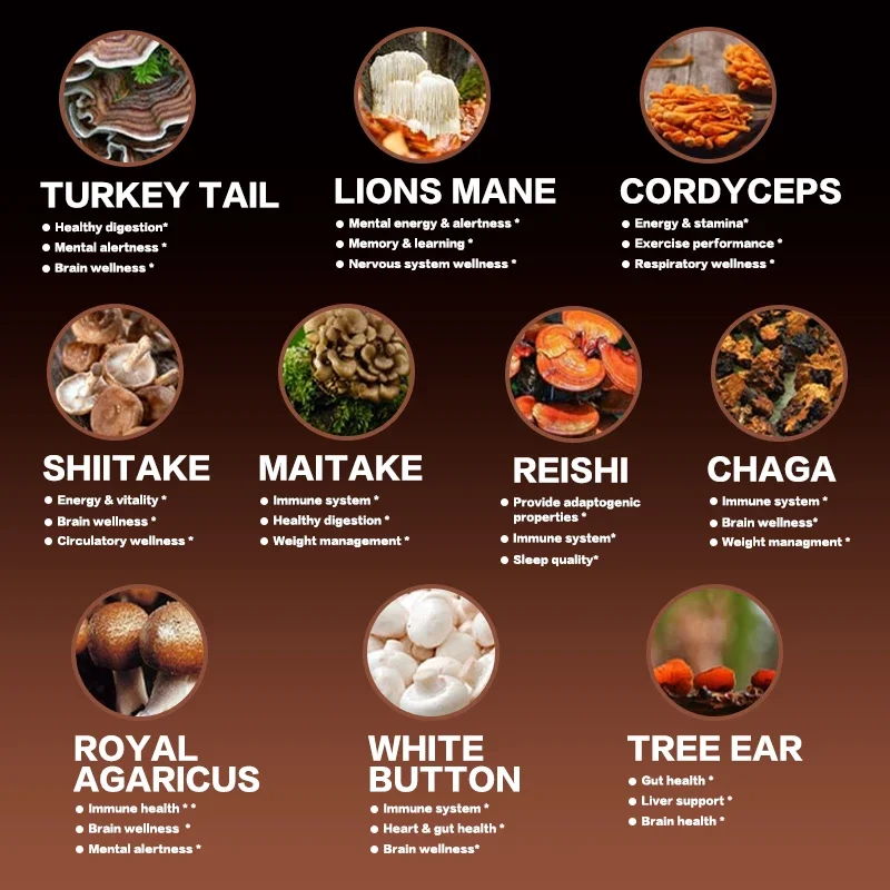 Mushroom Complex for Brain Health