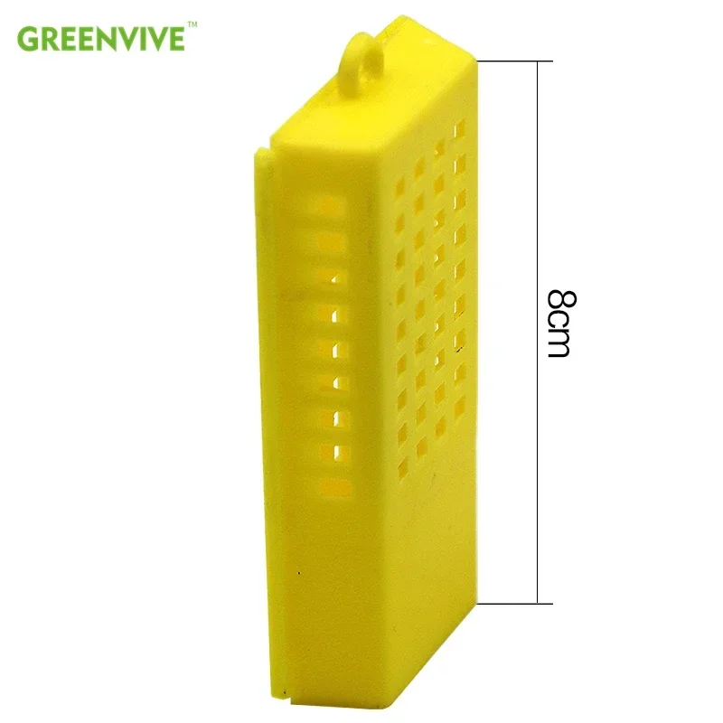 Beekeeping Transport Cages Bees Queen Post Room Cage Plastic King Prisoner Queen Bee Isolation Cage 15 Pcs Apiculture Tools