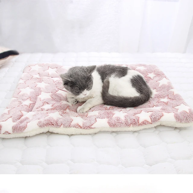 Soft Flannel Pet Mat dog Bed Winter Thicken Warm Cat Dog Blanket puppy Sleeping Cover Towel cushion for small Medium large dogs 4