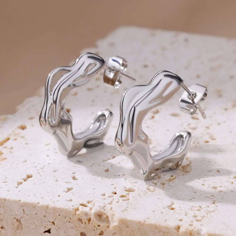 Irregular C Shaped Earrings Stainless Steel Geometric For Women
