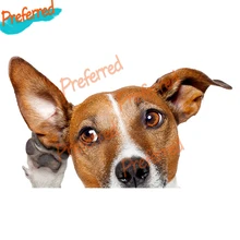 

Jack Russell Terrier Dog Voyeur Car Sticker Decal for Your All Cars Racing Laptop Motorcycle Helmet Trunk Surf Camper Window
