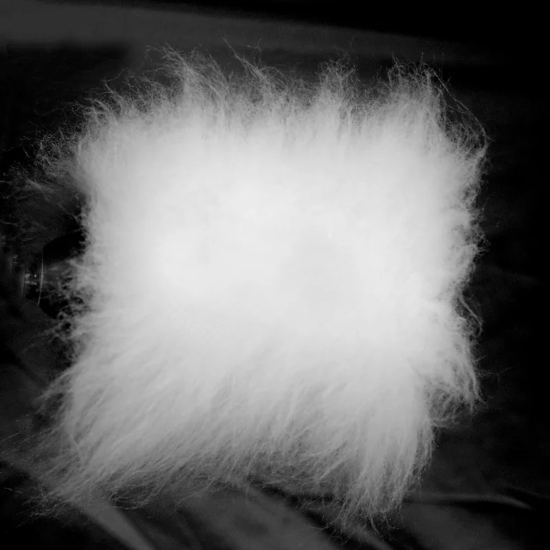 Pet Wig Grooming Cylinder Pack of 5 tablets model dog for pet grooming Pet Groomer Practice ( no mannequin)