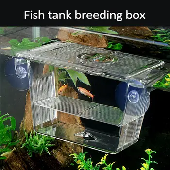 Accessori per Acquario, Scatola di Isolamento in Acrilico per Allevamento Pesci, Incubatrice Doppia per Schiusa Pesci