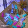 RD11-C08(50pcs)