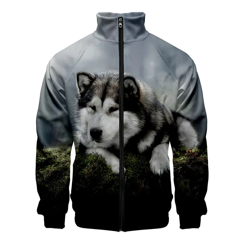 Nueva chaqueta con estampado 3D de husky para hombre, chaquetas con gráficos de animales de invierno para niños, ropa de calle divertida, ropa vintage