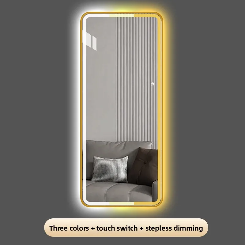 Square Full-length Mirror Full-body Mirror Smart LED Light Luminous Long with Metal Frame Plugged in Makeup Vanity