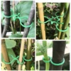 10/50/100Pcs Garden Vine Strapping Clips Plastic Plant Rattan Climbing Wall Fixture Buckle Tomato Grapevine Hook Support Tool 4