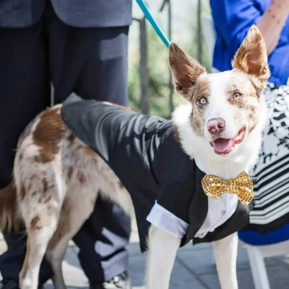 Abito da cerimonia formale per cani piccoli con papillon_voghion.com