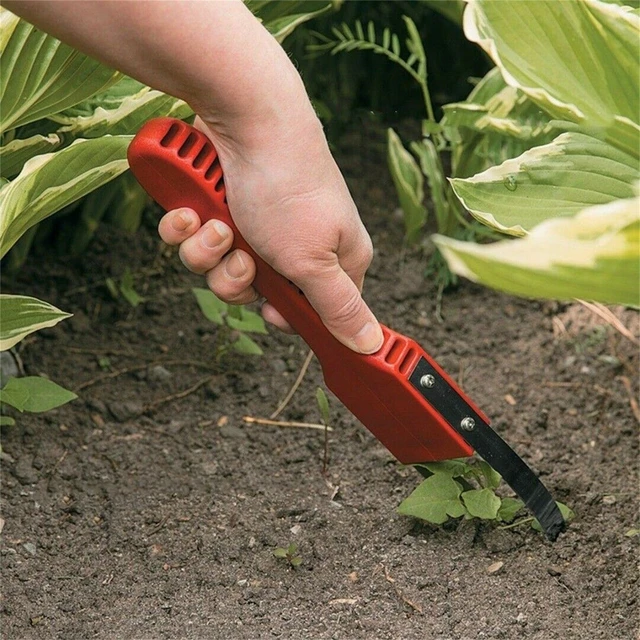 Attrezzo per sarchiatrice a mano da giardino attrezzo per sarchiatrice per  erbacce da giardinaggio/accessorio da giardino per diserbo allentamento del  prato da giardino rosso 2022 - AliExpress