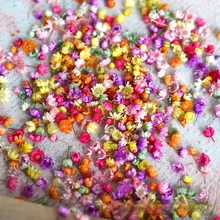 100pc Real Dried Flowers For DIY Art Craft Epoxy Resin Candle Making Jewellery Glass cover ball filler Dried Flowers Accessories