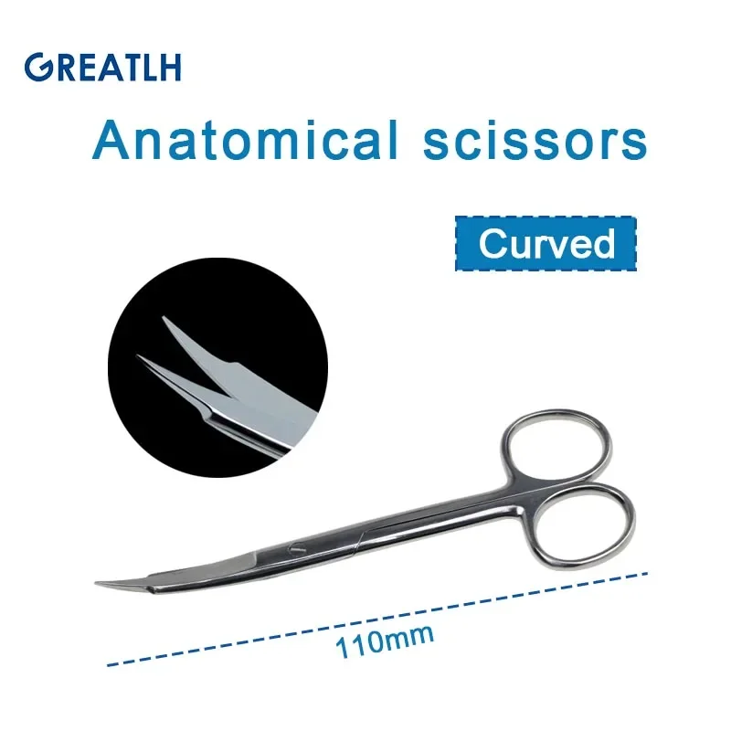 anatomy curved 11cm