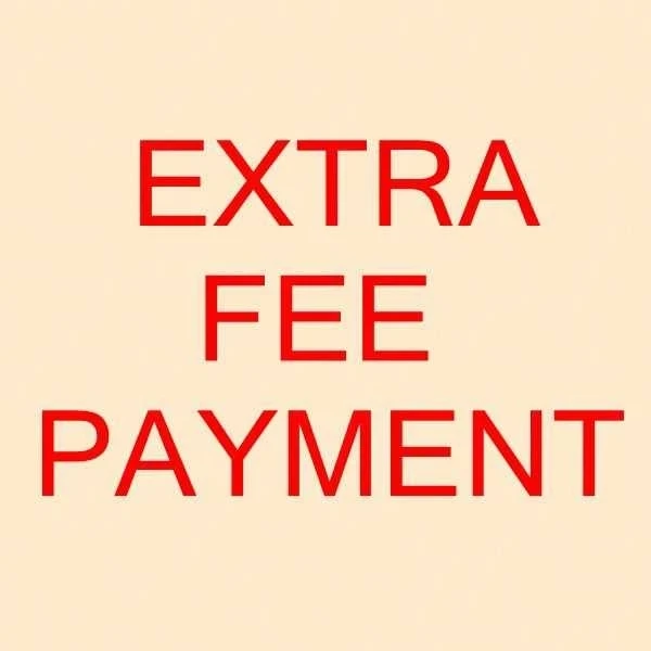 

Extra Shipping Cost or Customization Product