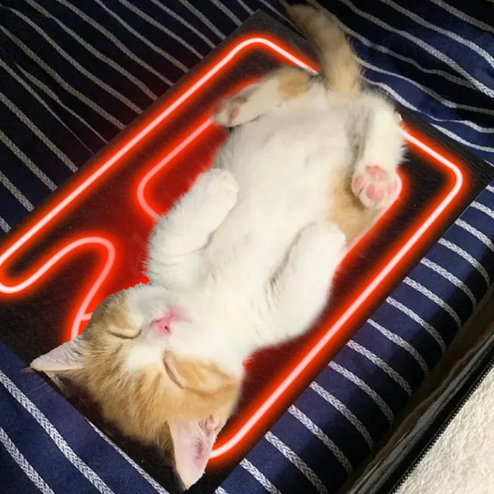 Safety USB Warm Paste Pads Washable Winter Heating Warmer Pad Dog Cat Bed Heat Pad Pet Reptile Heating Warmer pet heated mat