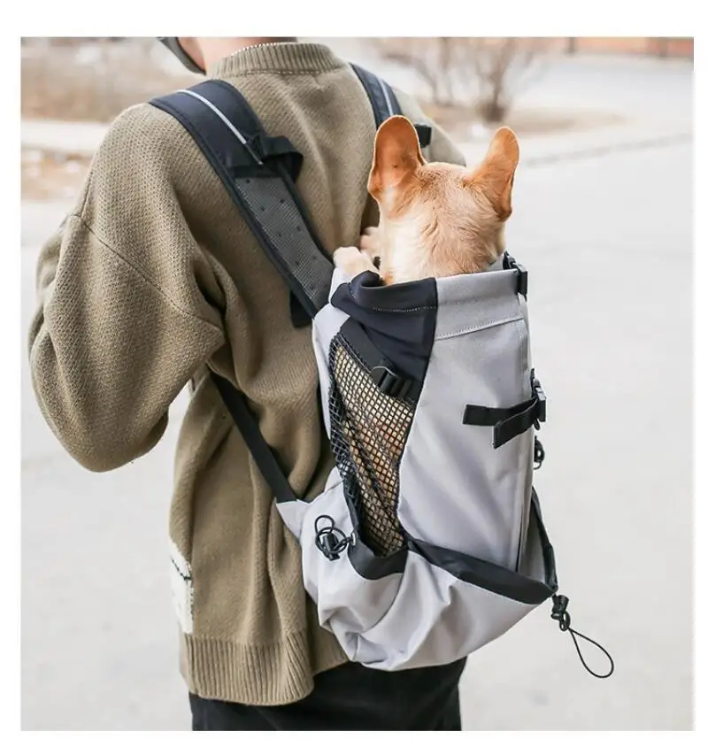 Sac à dos de voyage chic pour chien : tous les tailles