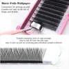 Lashonly 3D 4D 5D 6D W Automatic Flowering Premade Fans Lash Extension Clusters Volume Lashes  Full Dense Natural Soft Grafting 6