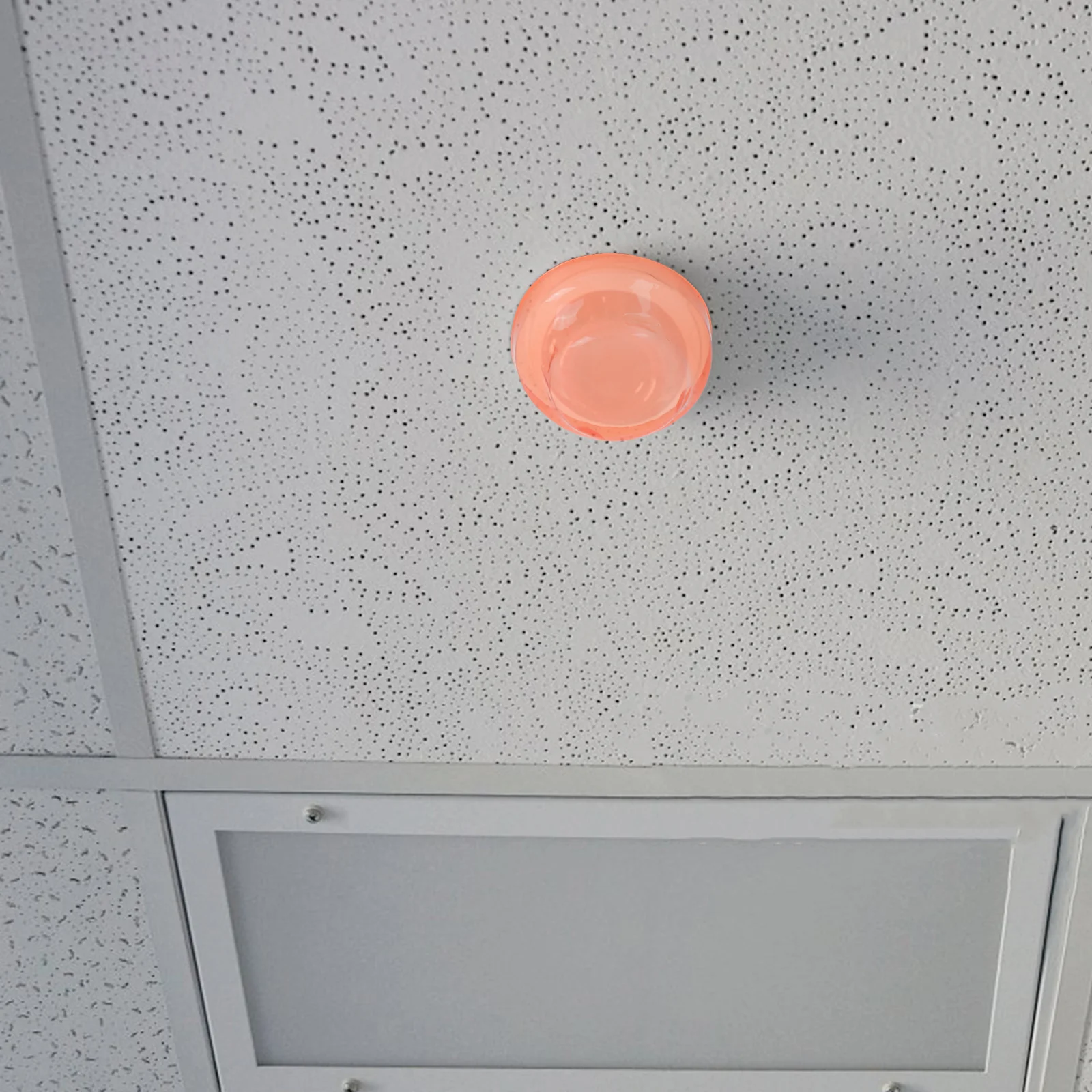 2 Pcs Dust Cover Smoke Covers for Construction Thermostat Sensor Caps Alarm Guard Abs Cooking