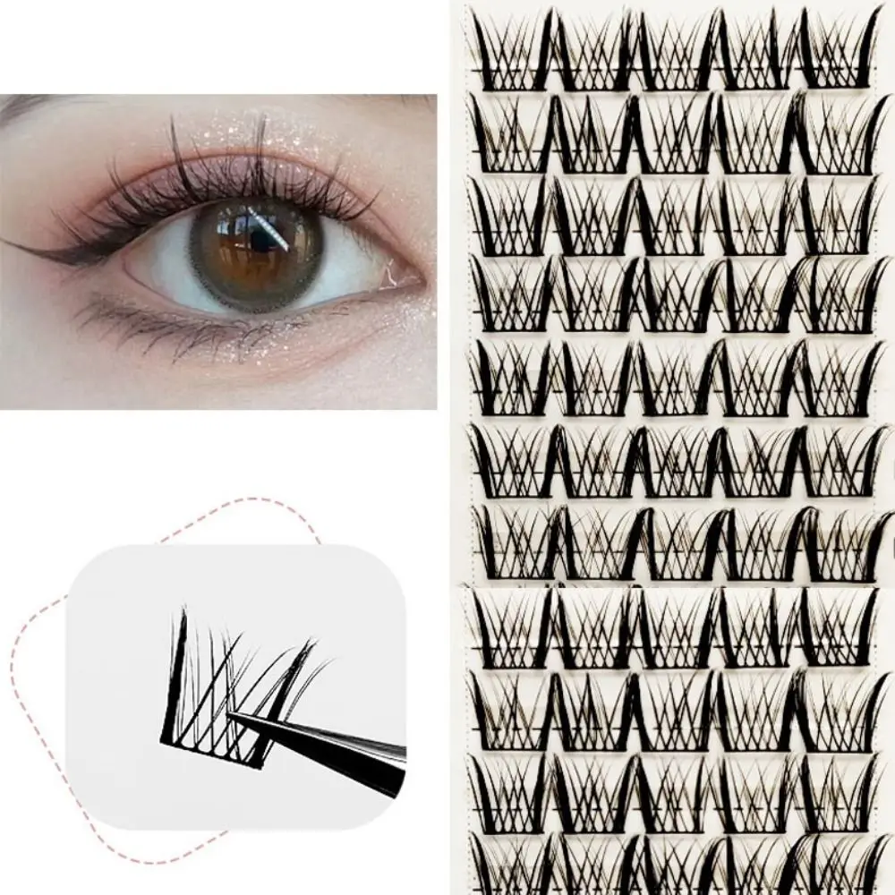  Ǹ ̽ Ӵ, ǳϰ ڿ ׸Ʈ Ӵ , ƽ Ӵ , ε巯  Ӵ ׷̵