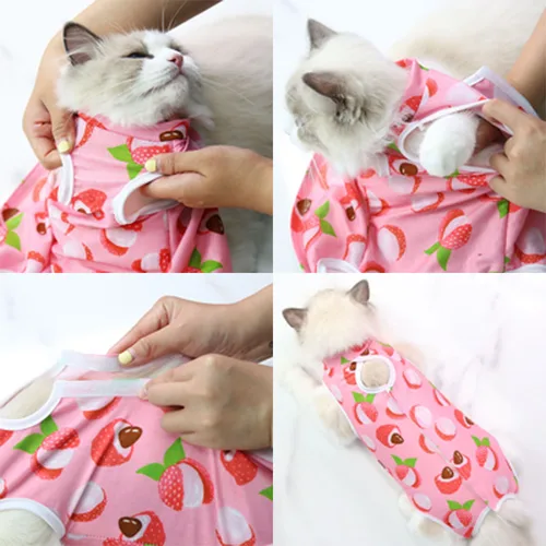 고양이 핥기 방지 살균 옷 작은 개 고양이 이유식 통기성 강아지 긁힘 방지 바디 스트랩 조끼, 애완 동물 수술 슈트 3