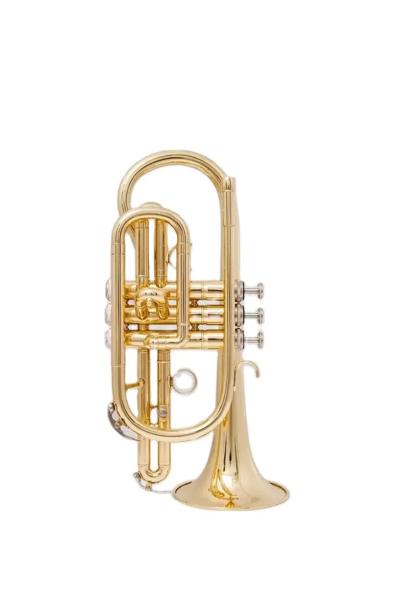 

Kualitas Tinggi CR-310 Bb Cornet kuningterompet, инструмент