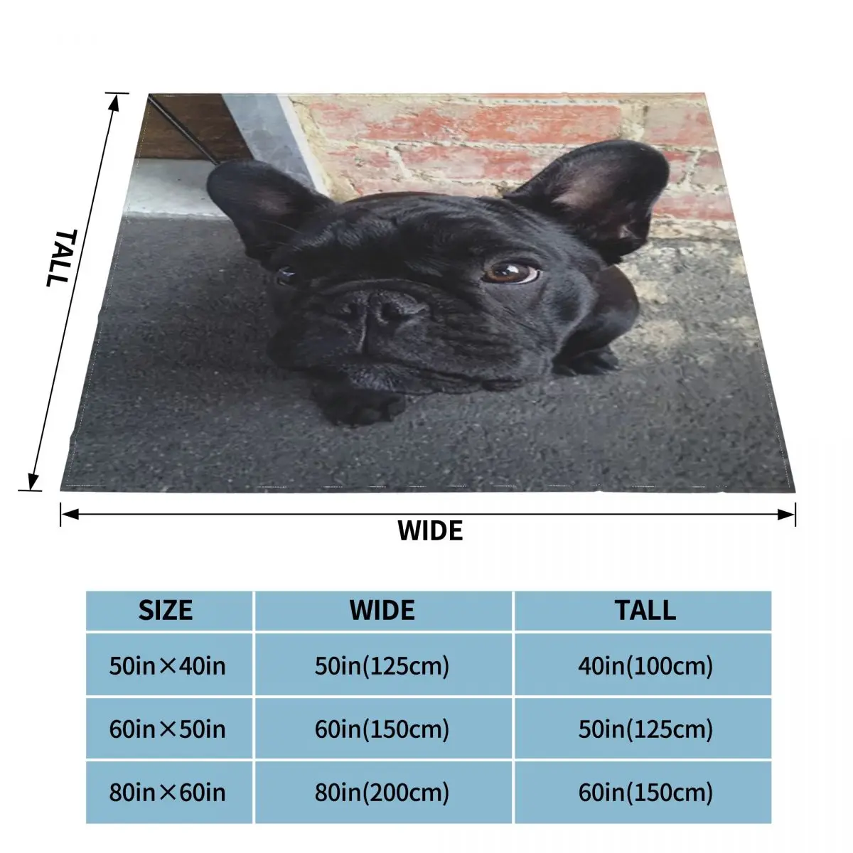 ������ �ҵ� ������ �Ϳ��� ������ ��� ��ȣ ���� �÷��� ��/���� �޴�� ����Ʈ ���� ��� Ȩ ���� ��Ʈ