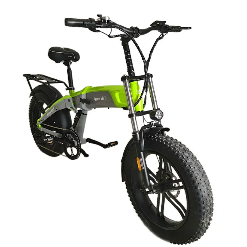 20 inch snow electric bicycle high power dual motor