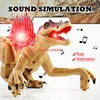 40cm 2.4G RC Spinosaurus Raptor Velociraptor Roar Walking Light Music Simulate  Sound Remote Control Animal Robot Boy Child Gift 3