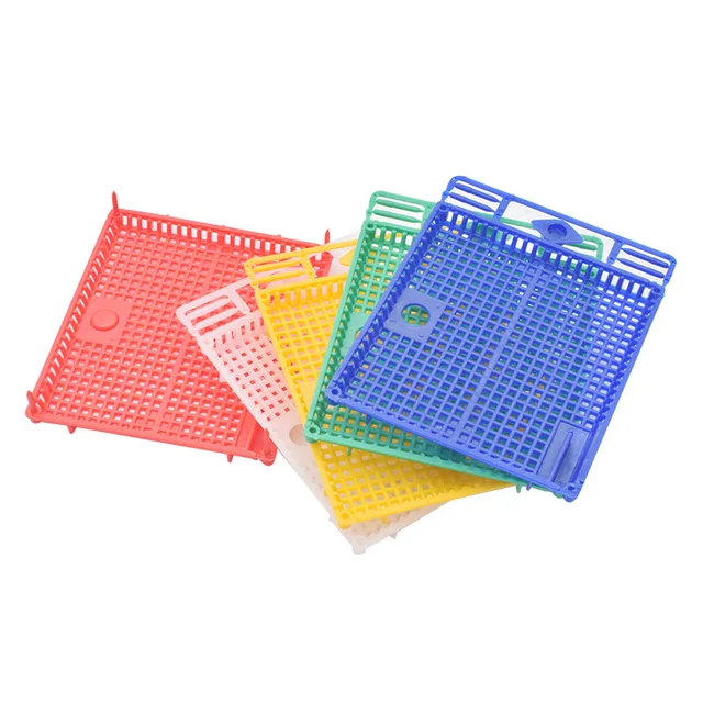 5Db/Tétel Királynő Elszigeteltség És Bevezetés Ketrec Műanyag Kerek Lapos Bemutatja A Méhészeti Berendezést - Image 4