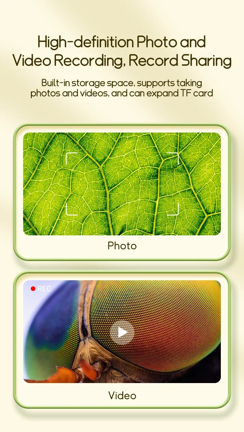 Microscope display showing high-detail view