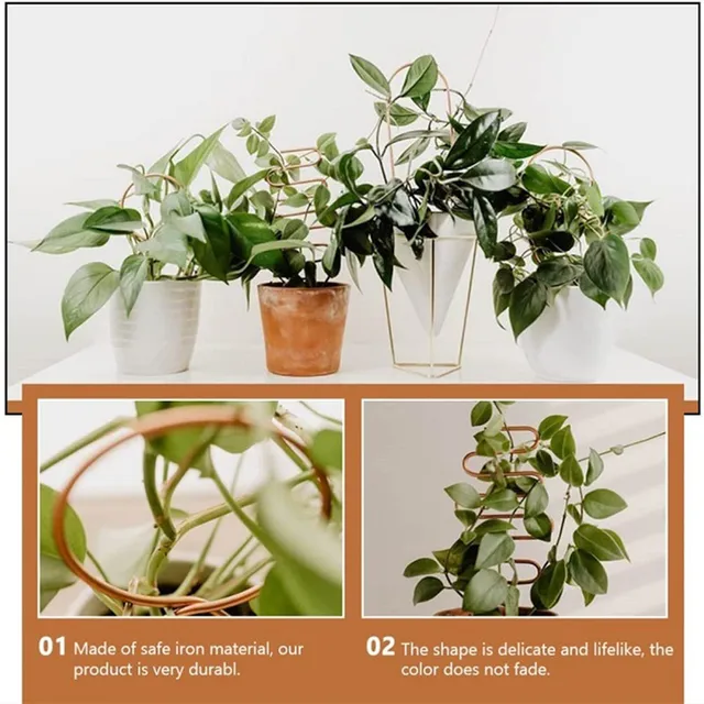 Plant Climbing Rack Plant Trellis Garden Plant Support Stake Stand Metal Vine Growth Flower Rattan Climbing Rack Garden Supplies 2