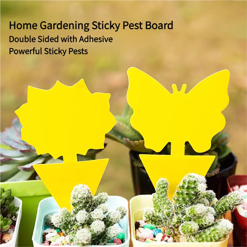 Double-sided Insect Catcher Fly Sticky Trap Board Flycatcher Sticker Plate Pest Traps Bugs for Garden Plant Protection Double-sided Insect Catcher Fly Sticky Trap Board Flycatcher Sticker Plate Pest Traps Bugs for Garden Plant Protection