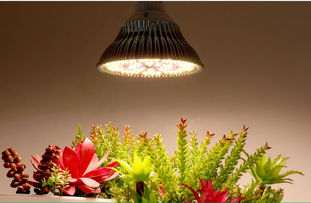 Ampoule Horticole LED E27 24W Pour Plantes D'Intérieur, 300W Équiv Lampe De Croissance Plante à