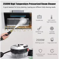 Steam Cleaner High Temperature Sterilization Car Steaming Cleaner Air Conditioning Kitchen Hood Home 110V US Plug /220V EU Plug 2