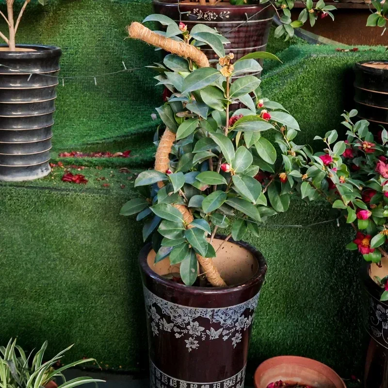 80/100/120cm Bendable Plant Stakes Plant Climbing Pole Coconut Fibre Moss Rod Indoor Support Growth Sticks Garden Tools plant stakes
