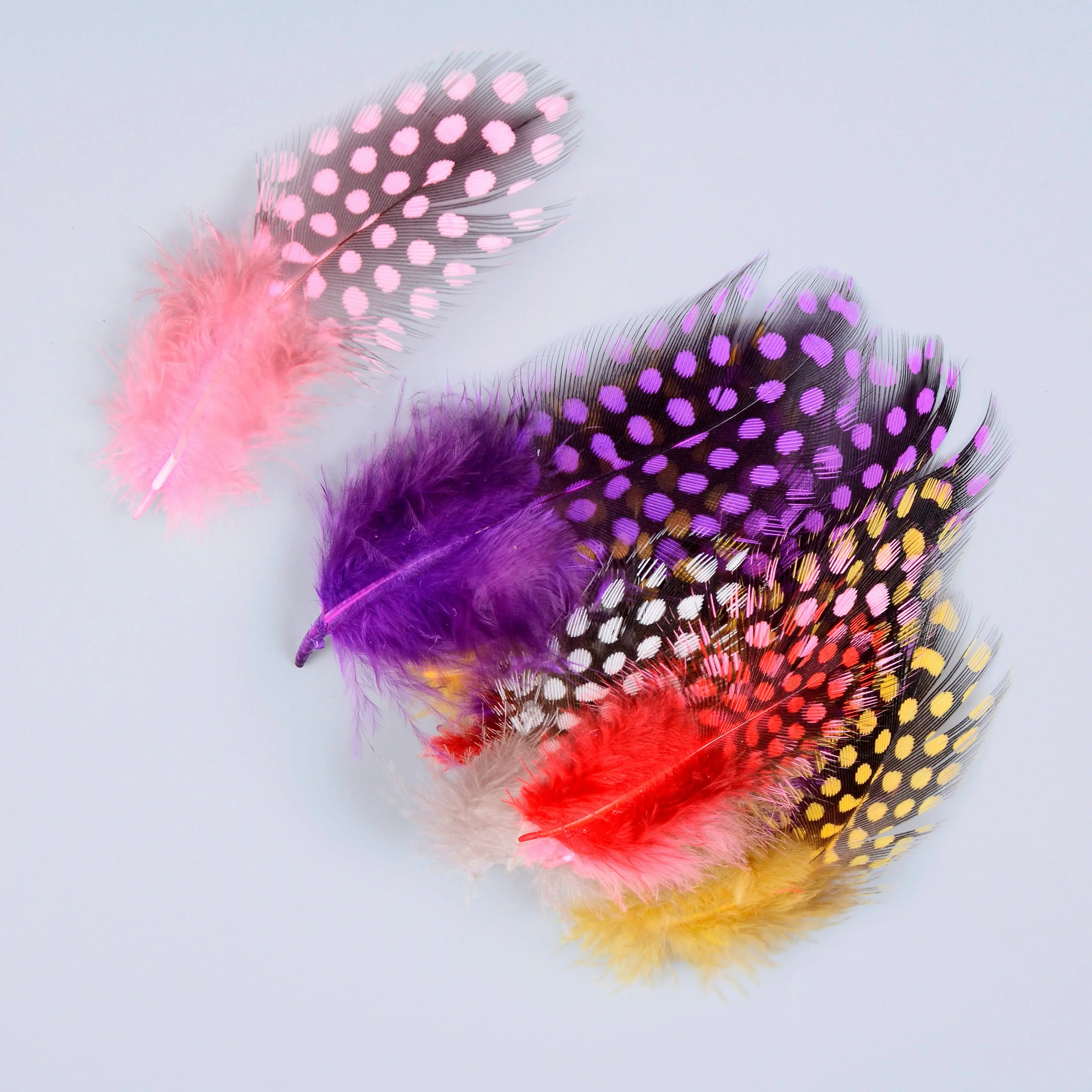 Guinea Fowl Pheasant Feathers 100PCS 5-8cm for Crafts craft feathers,natural feathers,pheasant feathers