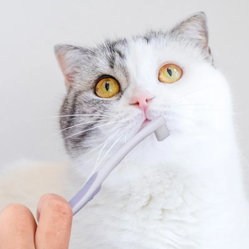Soft Dog Toothbrush 3