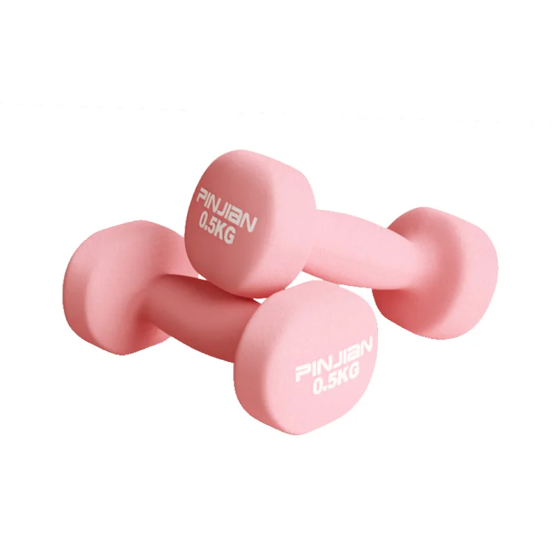 2Pcs Dumbbell 0.5kg Weight Bodybuilding Training at Home for Women