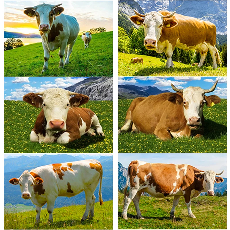 

50*70CM 5D DIY Diamond Painting Cattle Diamond Embroidery Animal Scenery Cross Stitch Full Round Drill Home Decor Manual Gift